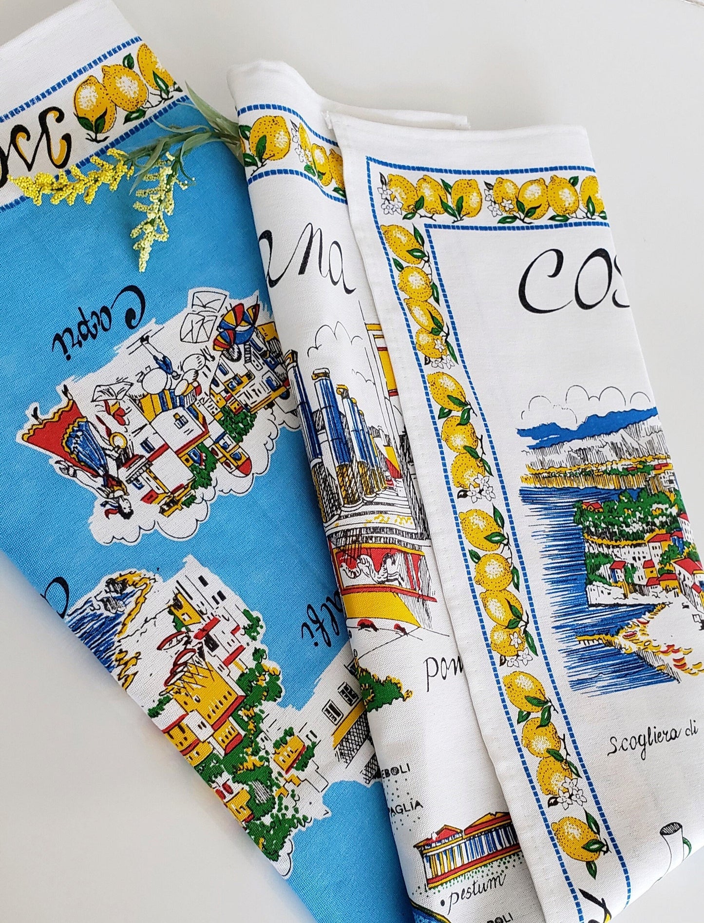 Apron Amalfi Coast Cotton Made in Italy Costa Amalfitana Regional Map Linen