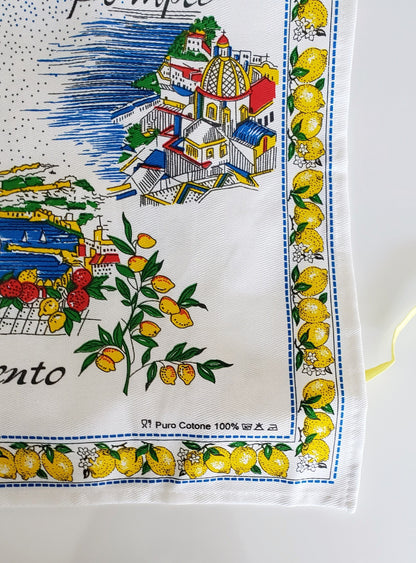 Apron Amalfi Coast Cotton Made in Italy Costa Amalfitana Regional Map Linen